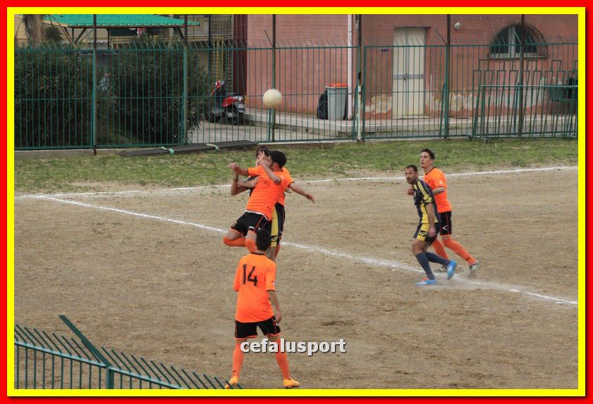 150321 stefanese 422_tn.jpg